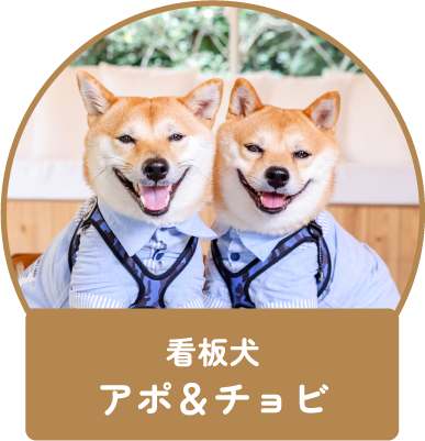 看板犬アポ＆チョビ